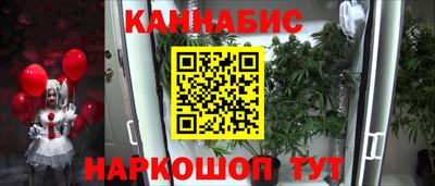 молекула духа Партизанск